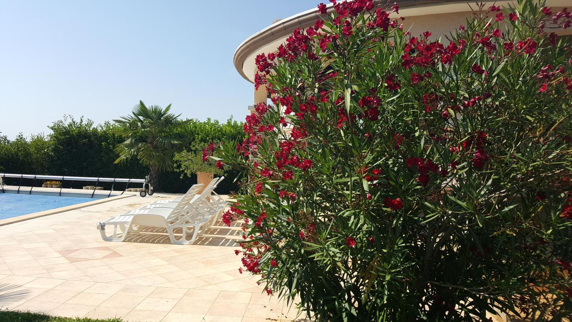 Villa Parenzo, Foto 7